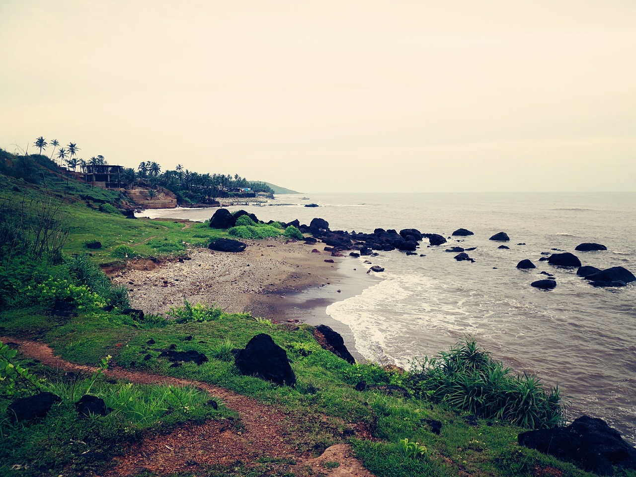 beach green sea free photo