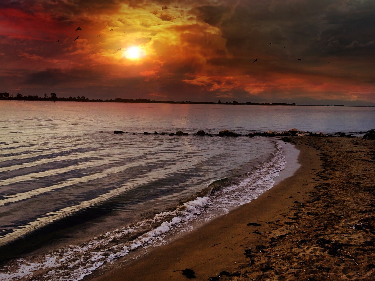 beach sky sunset free photo