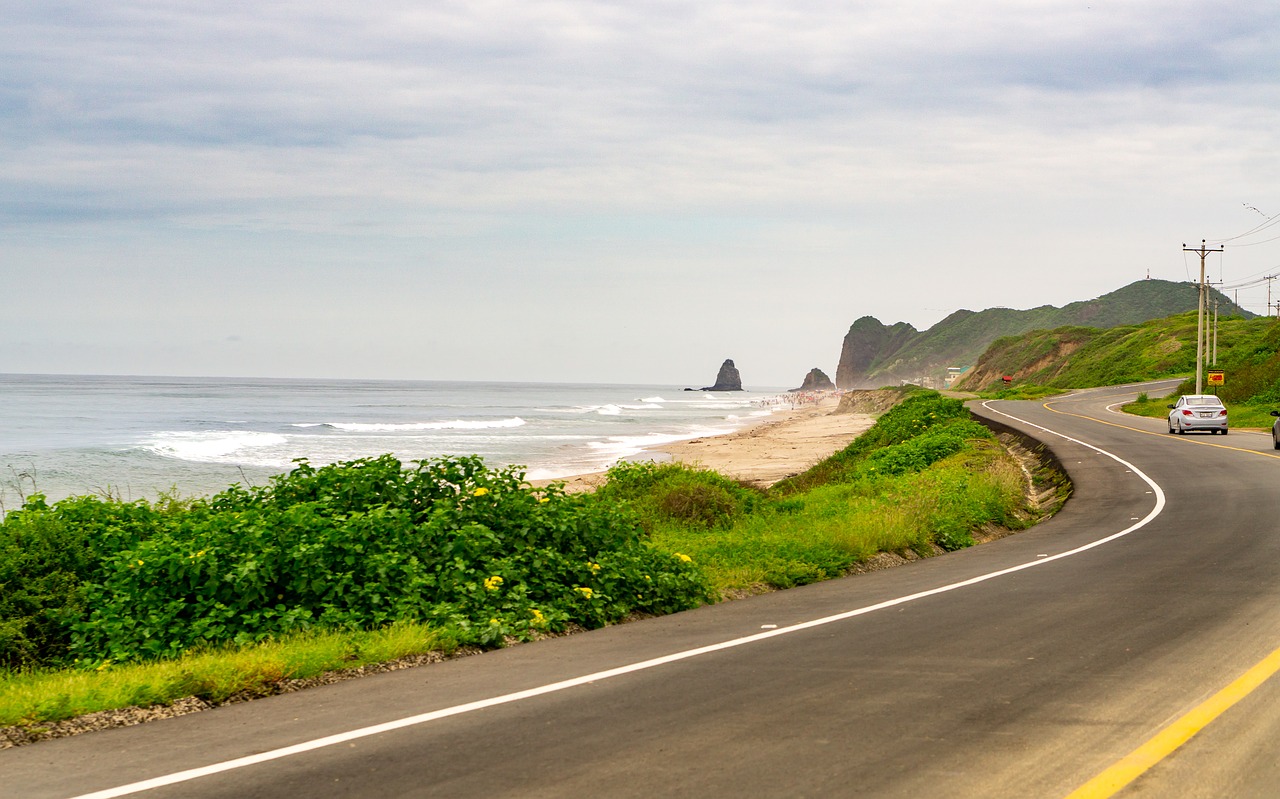 beach  sea  ocean free photo