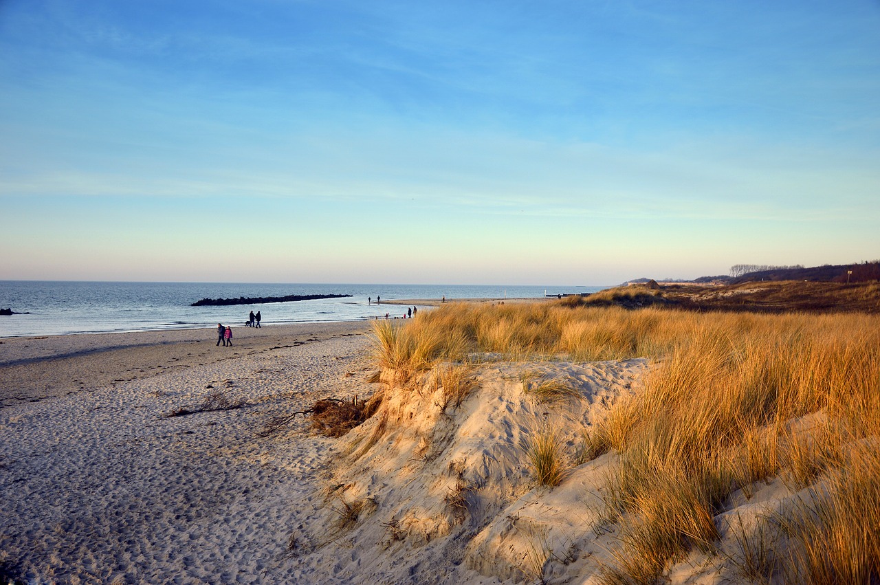 beach  sand  dunes free photo