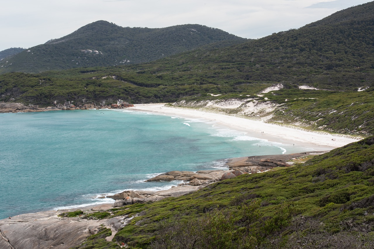 beach  sea  ocean free photo