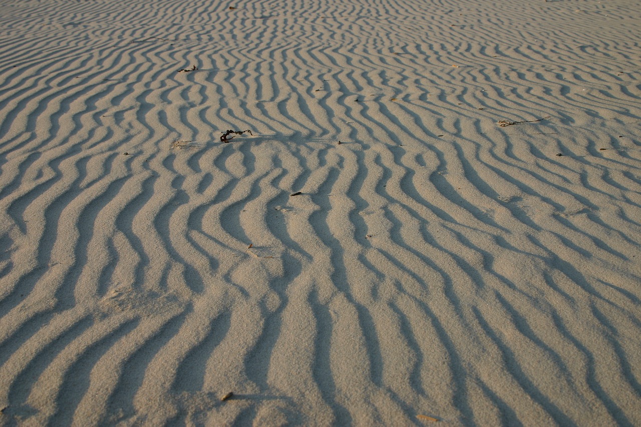 beach  sand  sea free photo