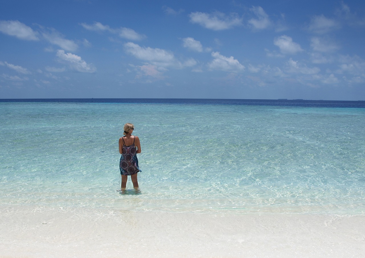 beach  maldives  sand free photo