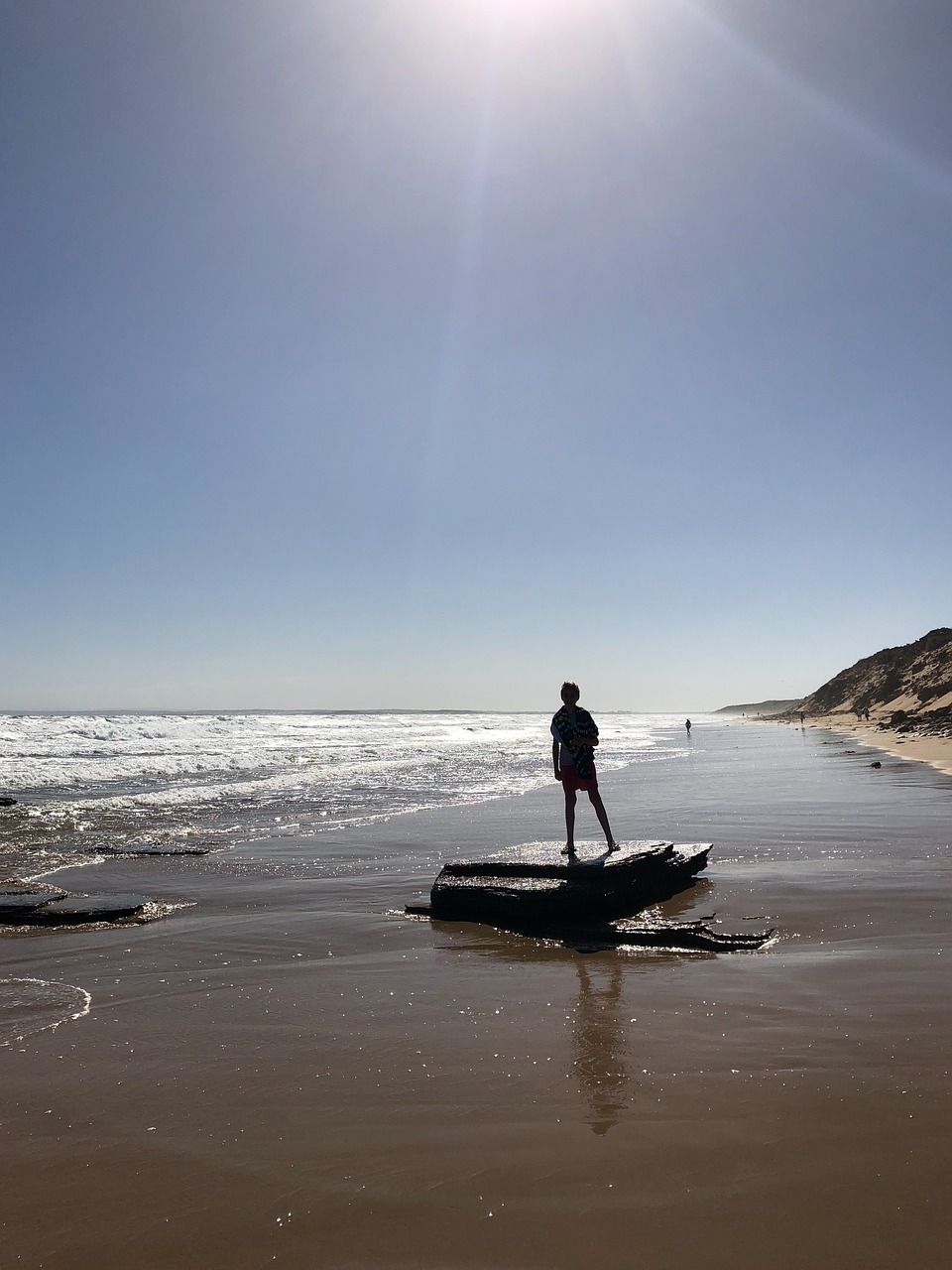 beach  ocean  sea free photo