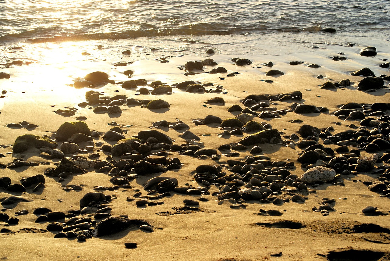 beach sea sand free photo