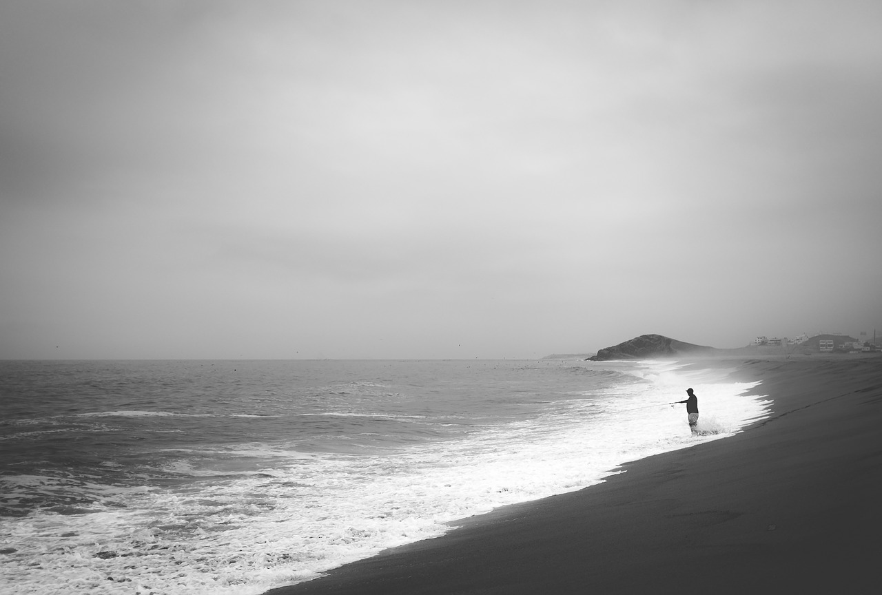 beach  sand  sea free photo