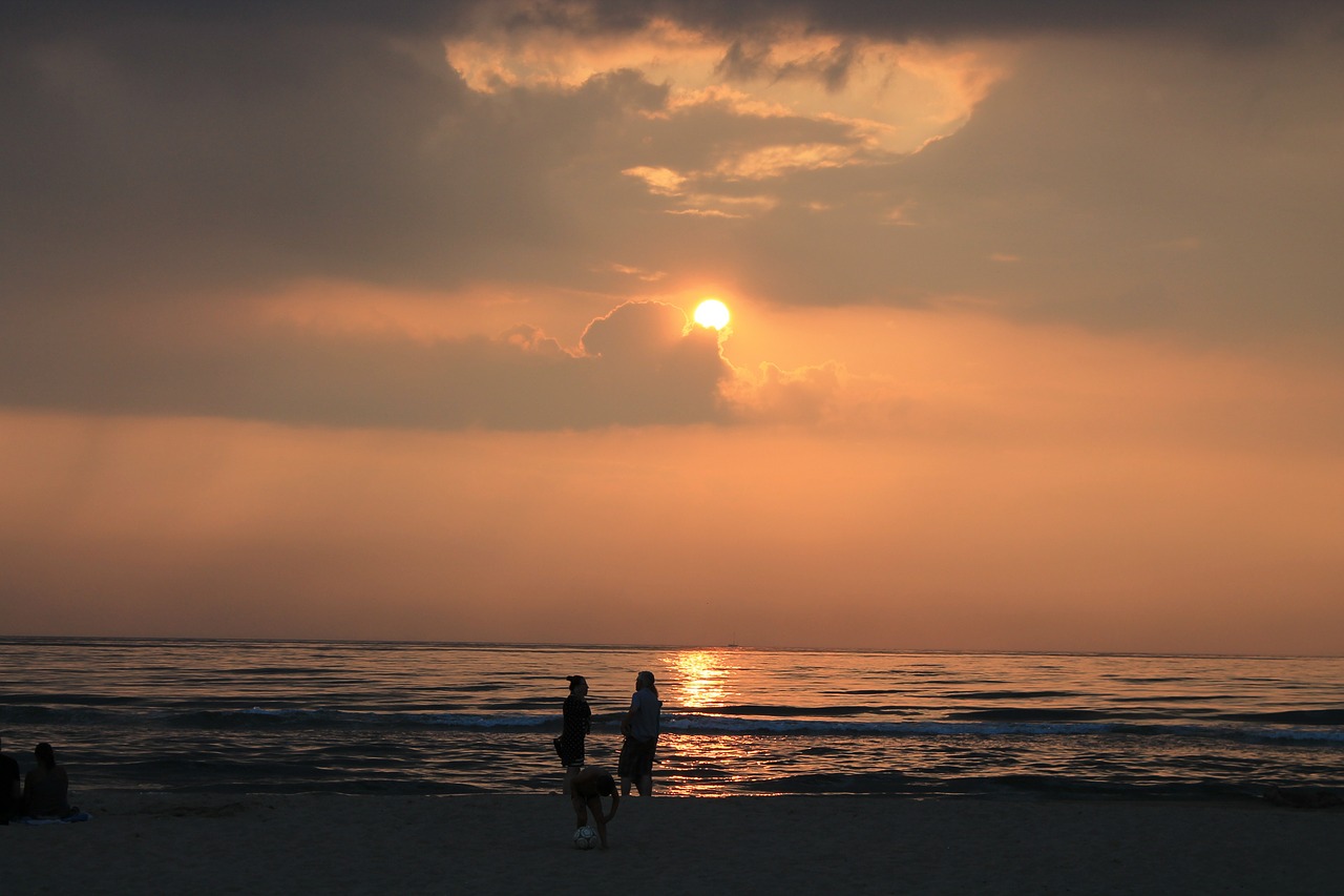 beach sea north sea free photo