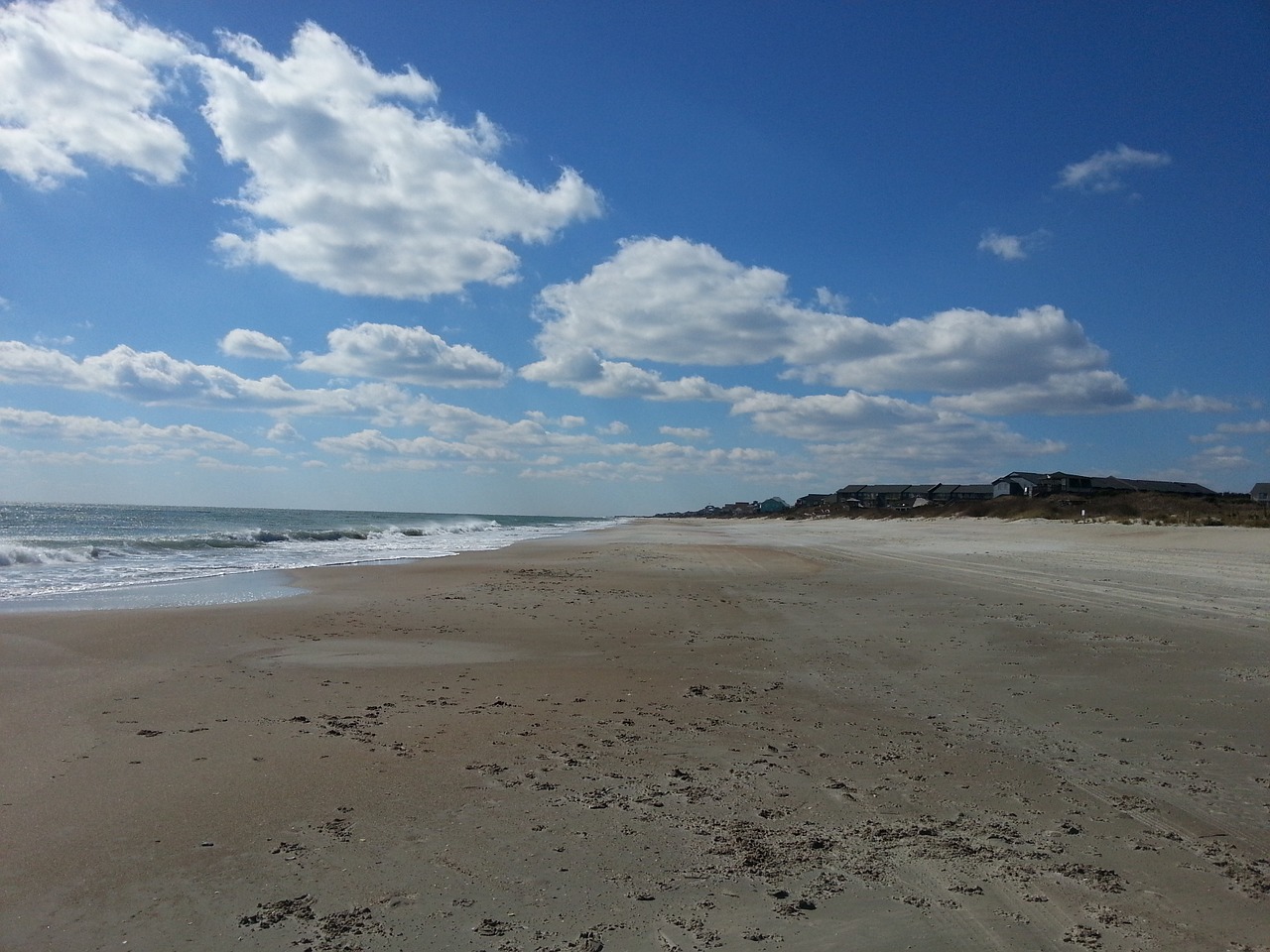 beach shore ocean free photo