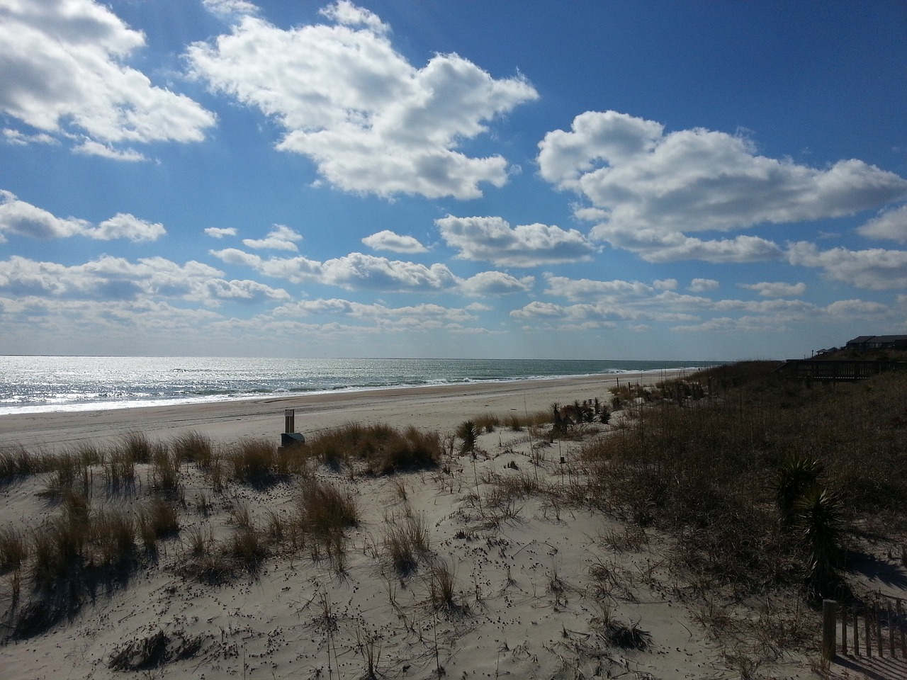 beach shore ocean free photo