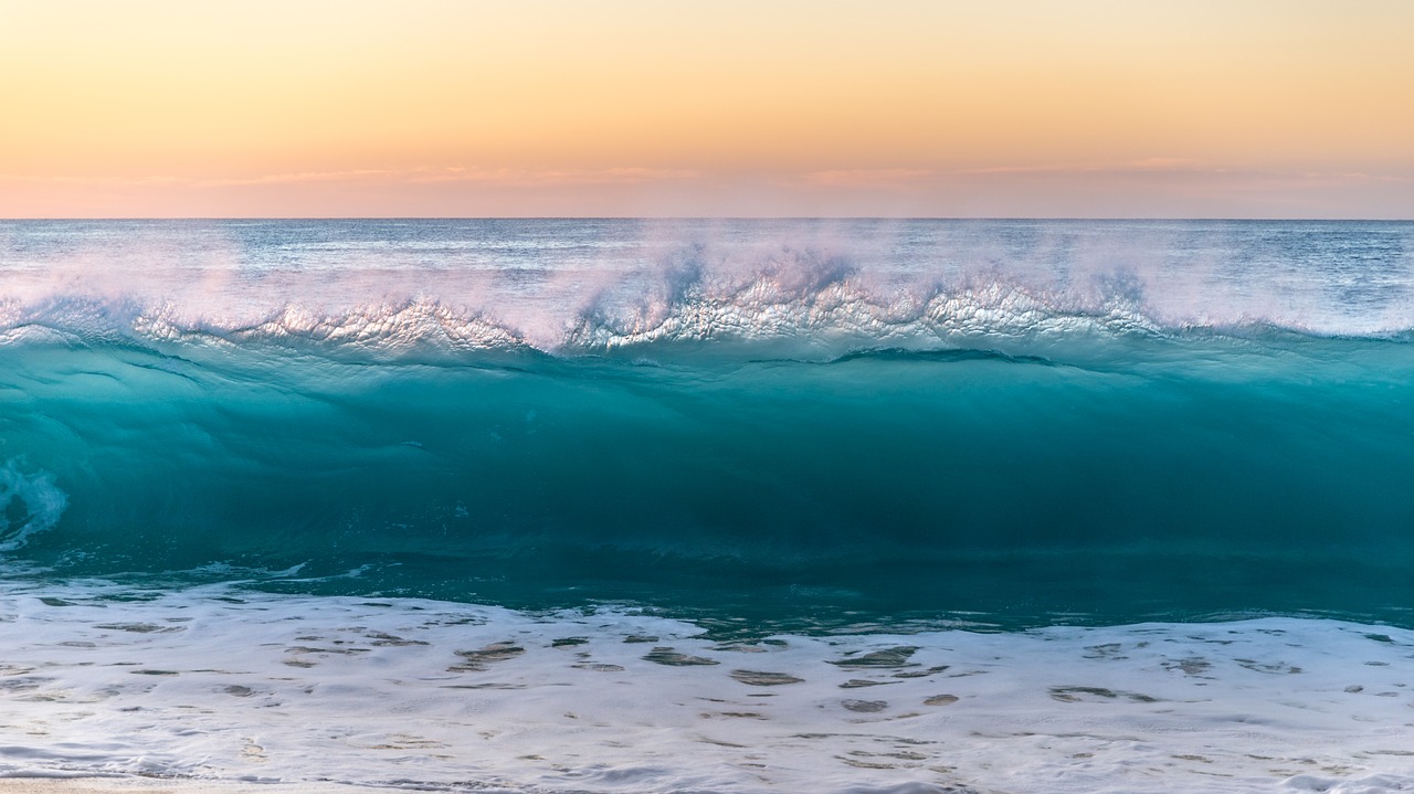 beach  sea  water free photo