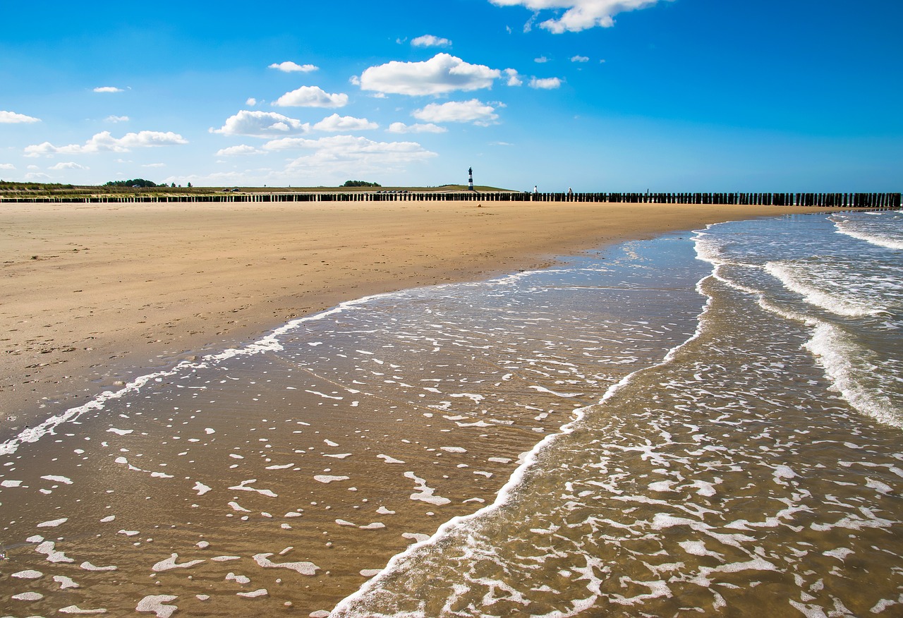 beach  sand  sea free photo