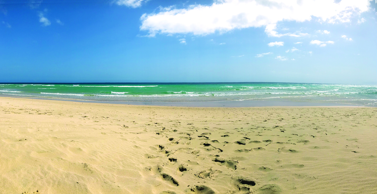 beach  sea  summer free photo