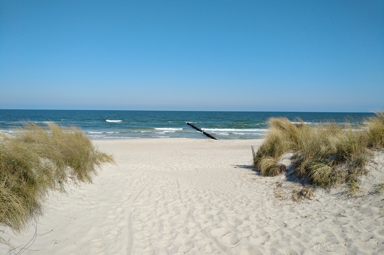 beach  baltic sea  zingst free photo