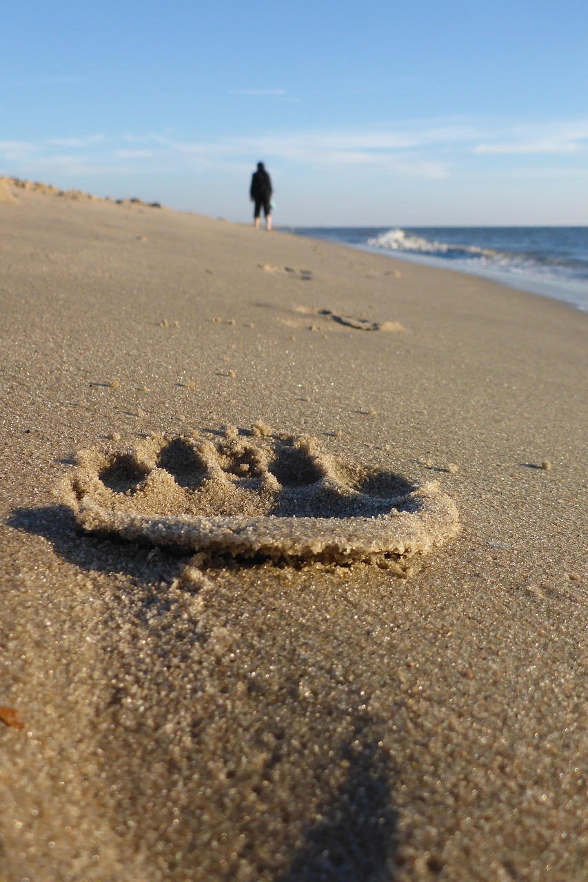 beach  sea  woman free photo