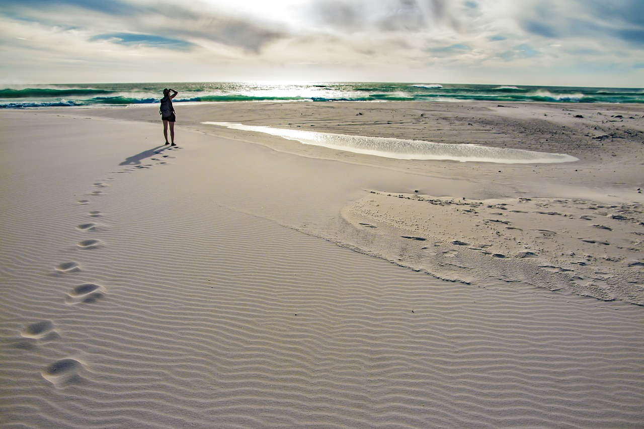 beach  sunset  ocean free photo