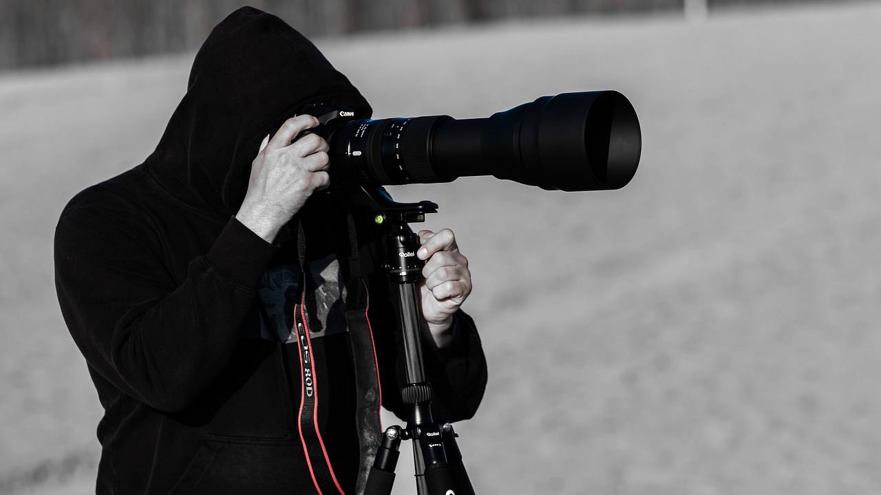 beach  photographer  sea free photo