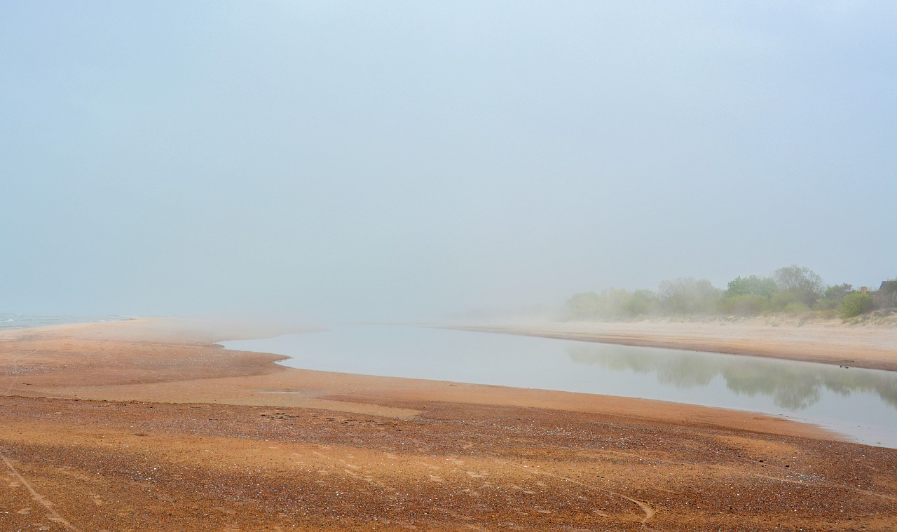 beach  mist  summer free photo