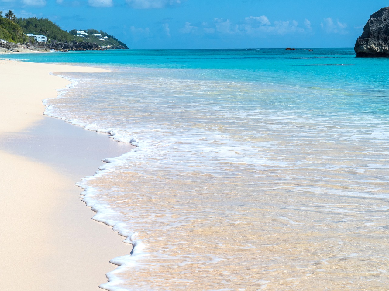 beach  bermuda  pink sand free photo