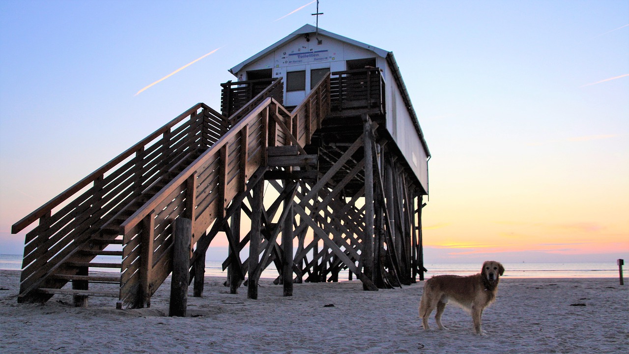 beach  evening sun  denmark free photo