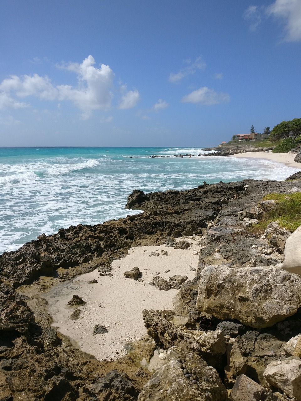 beach  sea  ocean free photo