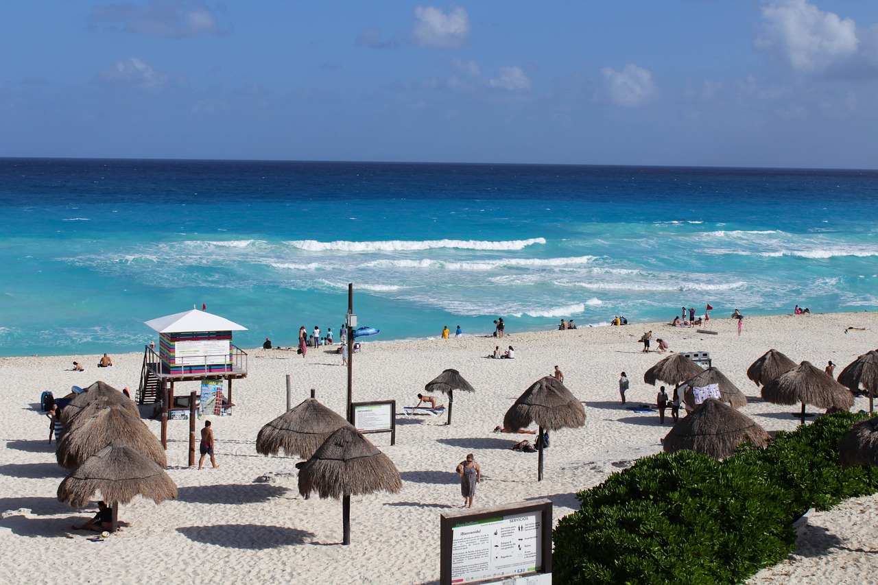 beach  blue  ocean free photo