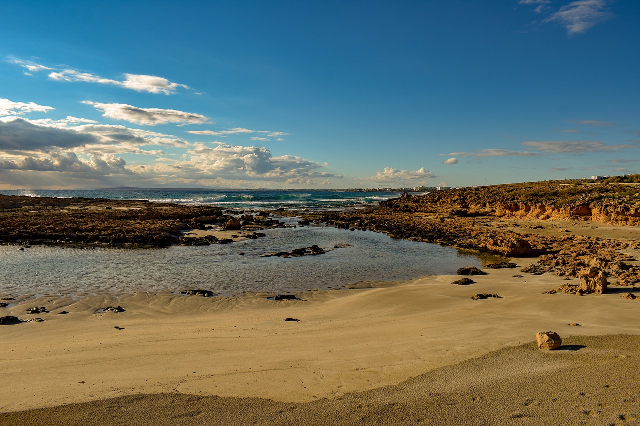 beach  coast  sea free photo