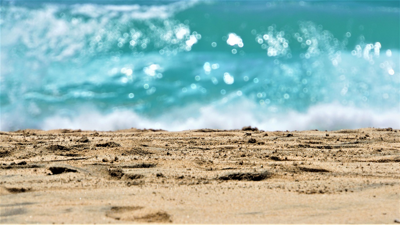 beach  sea  ocean free photo