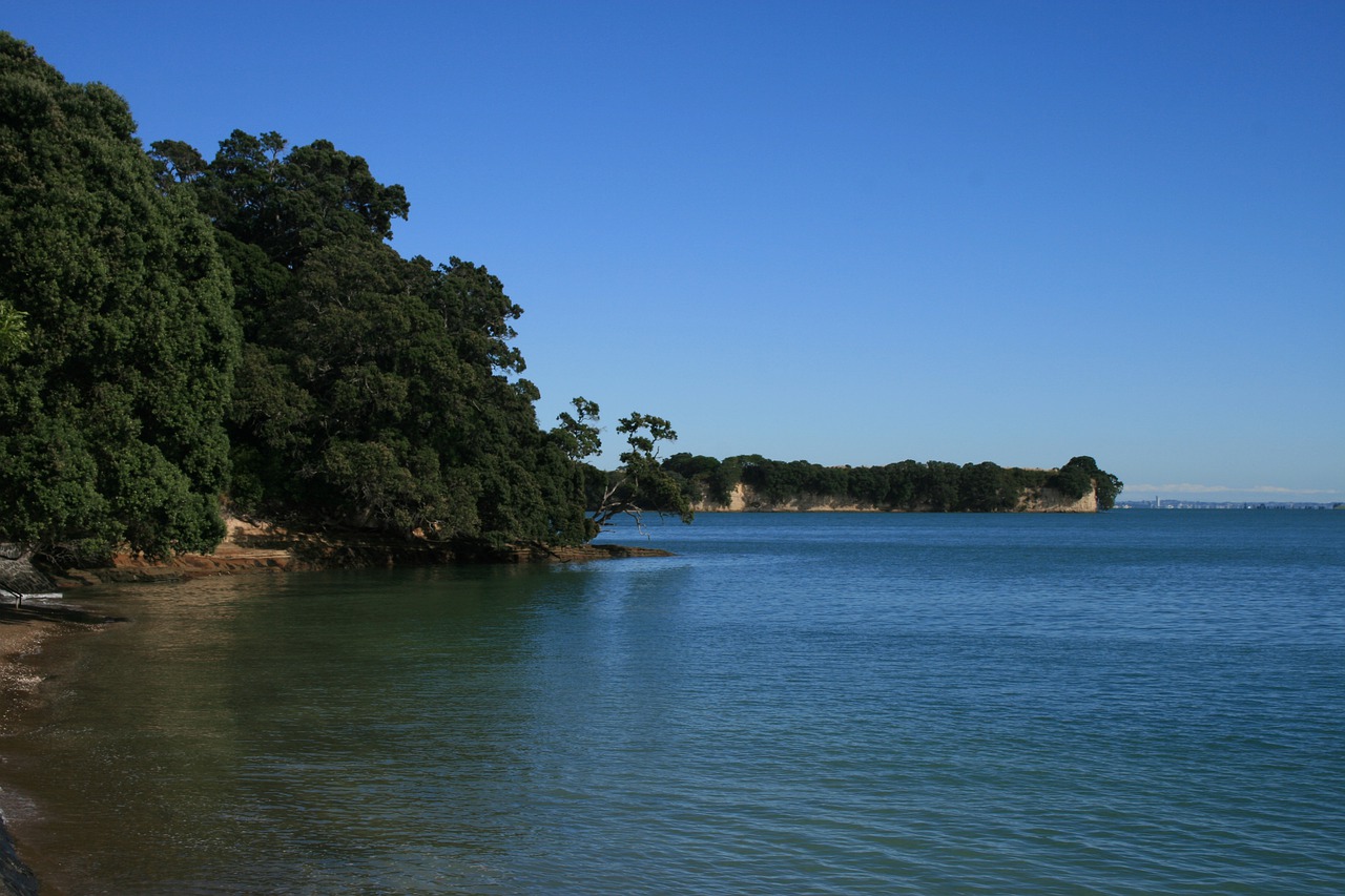 beach  water  new zealand free photo