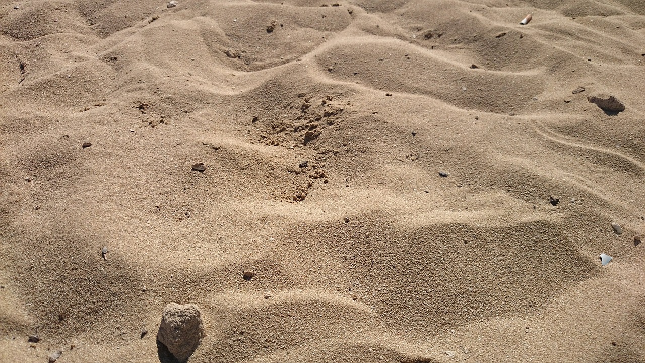 beach sand desert free photo