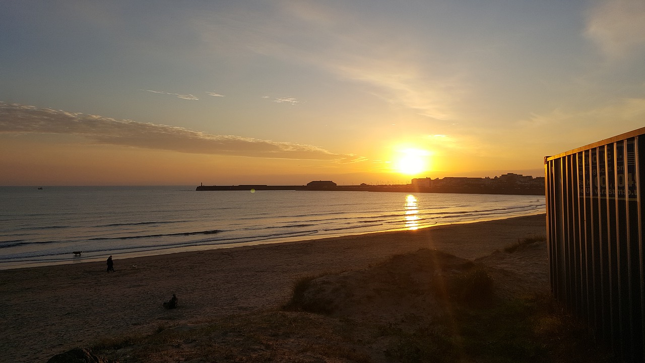 beach  sunset  dusk free photo