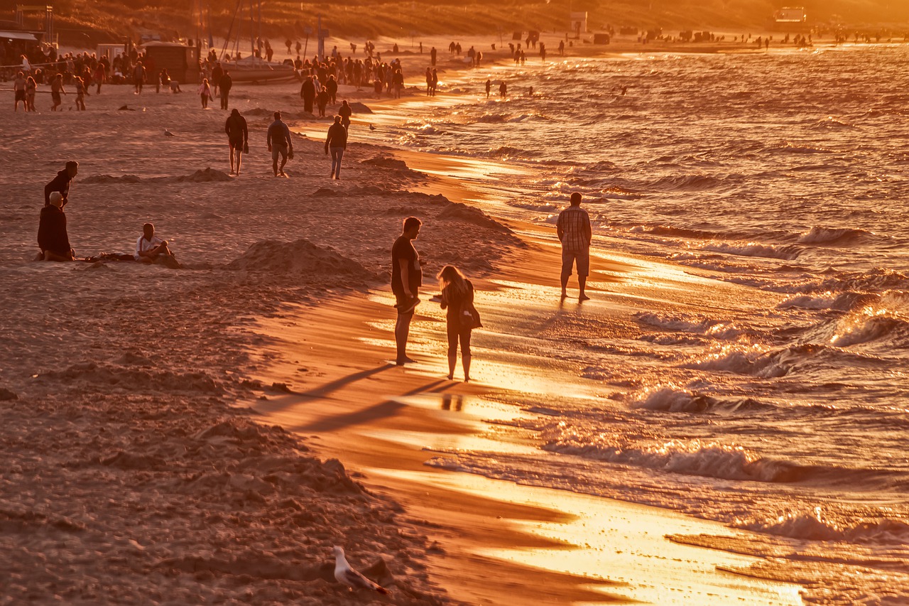 beach  golden hour  sea free photo