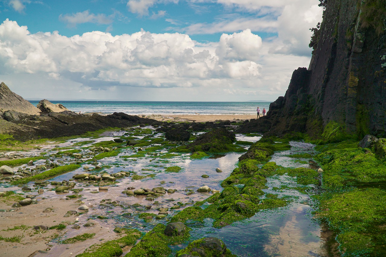 beach  beaches  coastal free photo