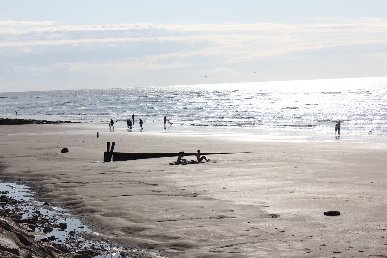 beach sea sand free photo