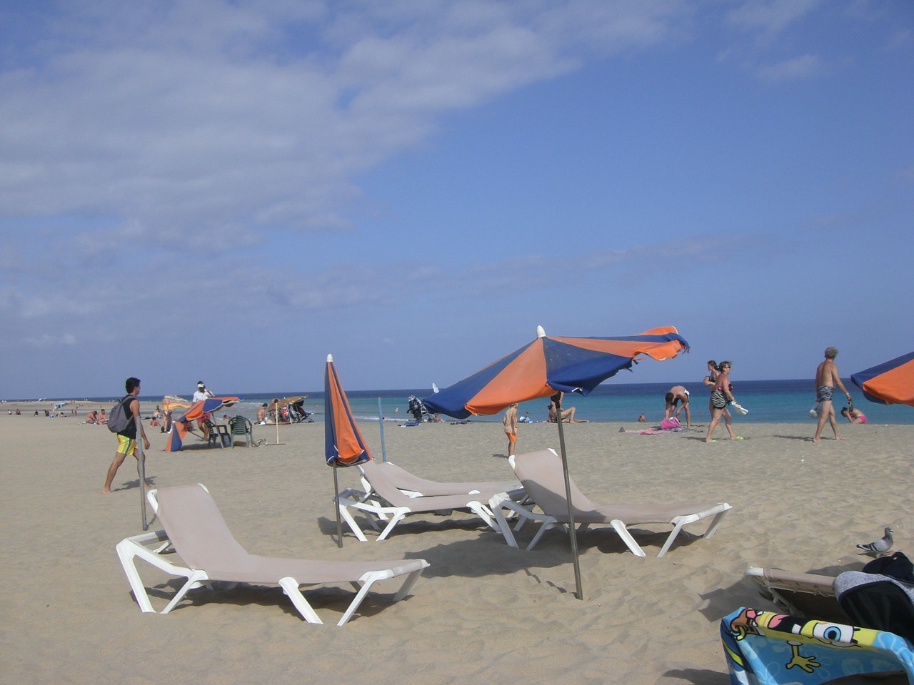 beach parasol sun lounger free photo