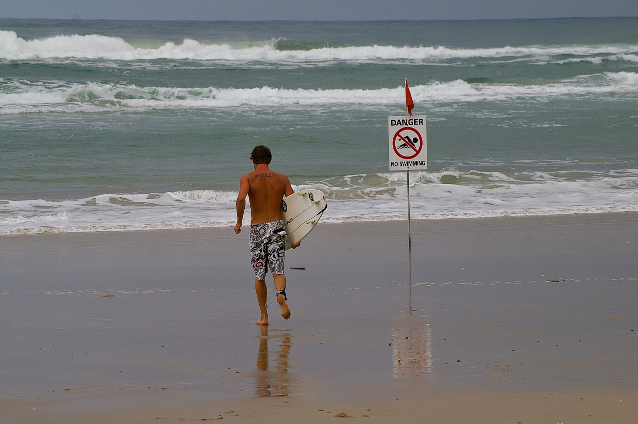 beach surfer board free photo