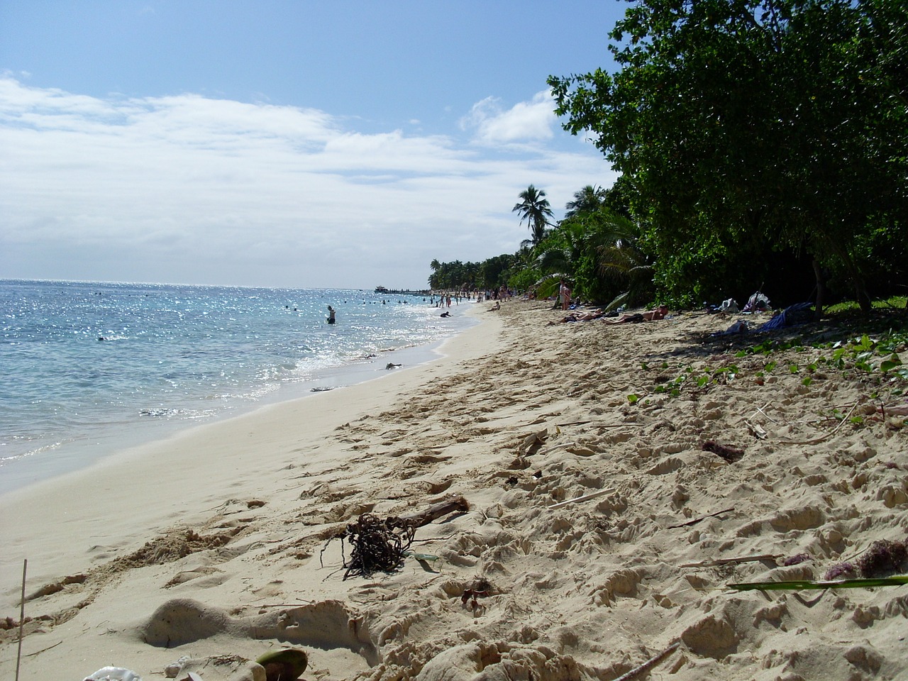 beach water sea free photo