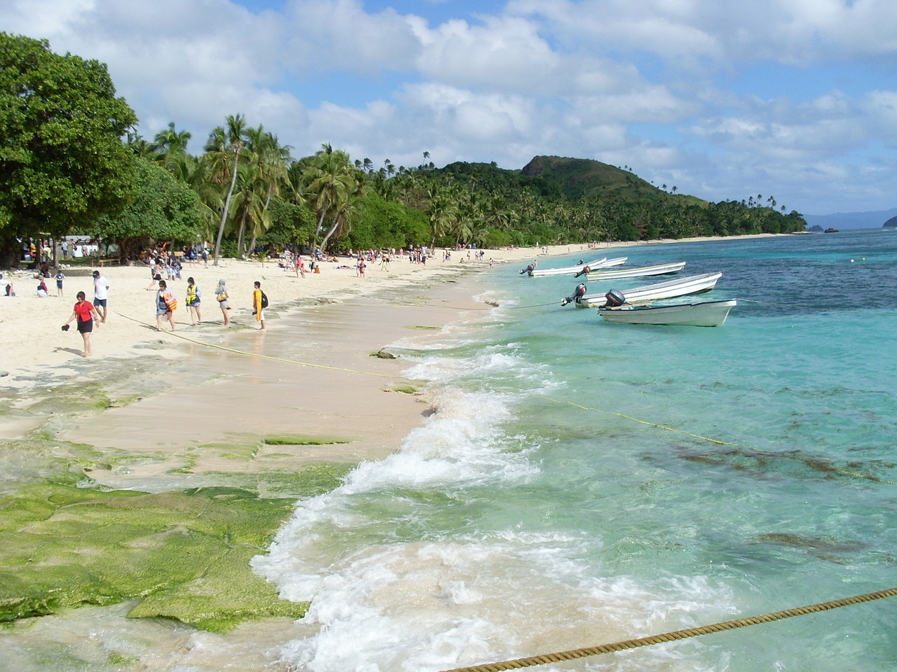 beach ocean paradise free photo