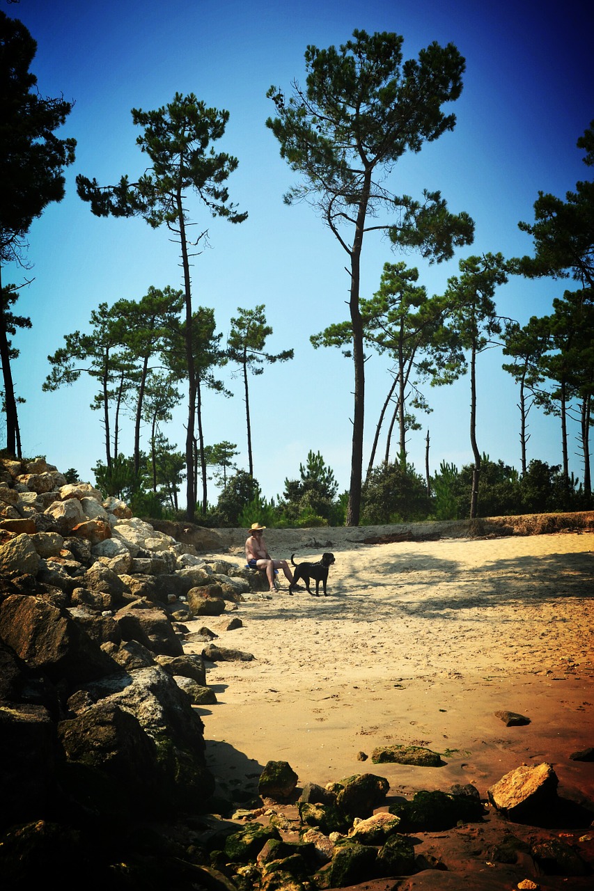 beach oléron nature free photo