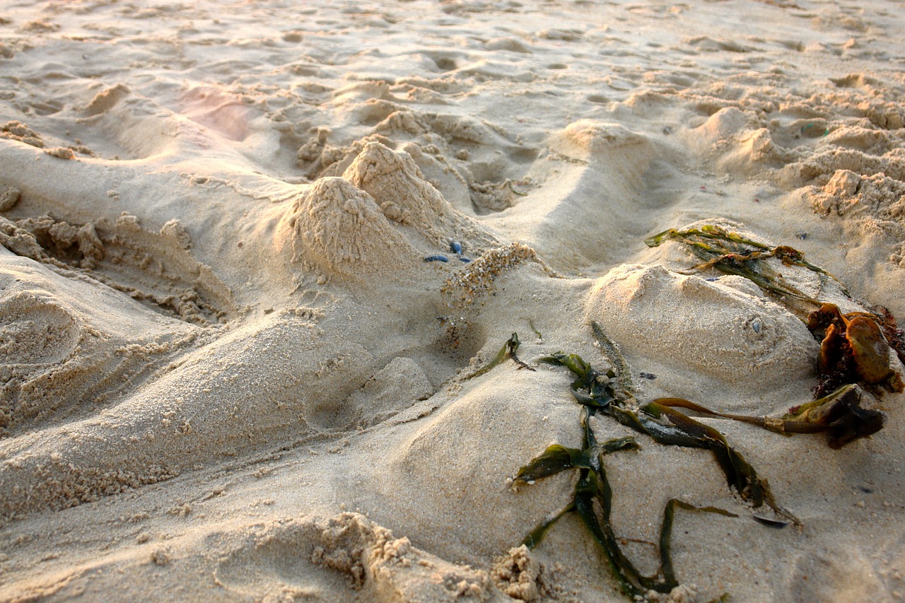 beach sand sand sculpture free photo