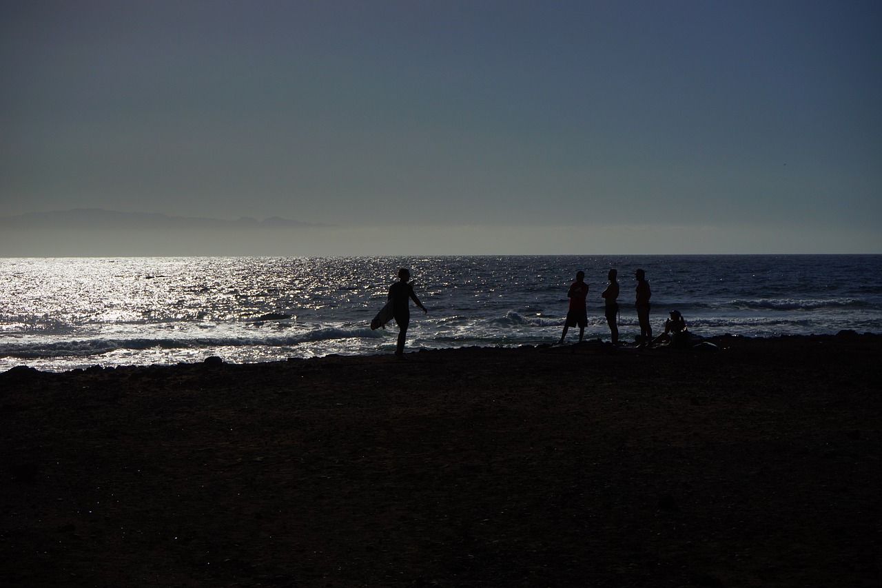 beach surfer sea free photo