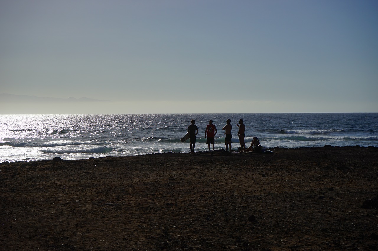 beach surfer sea free photo