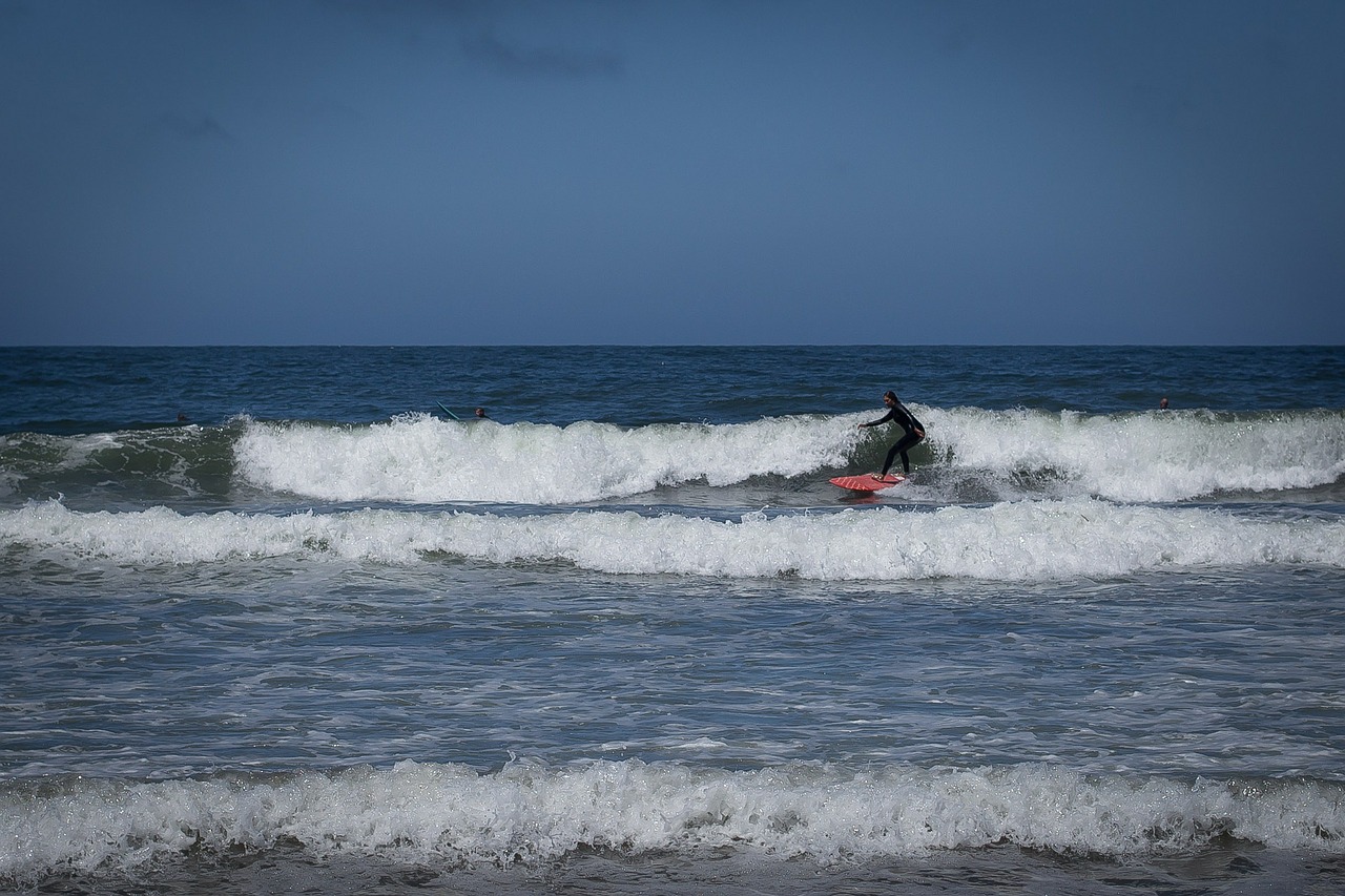 beach surfing waves free photo