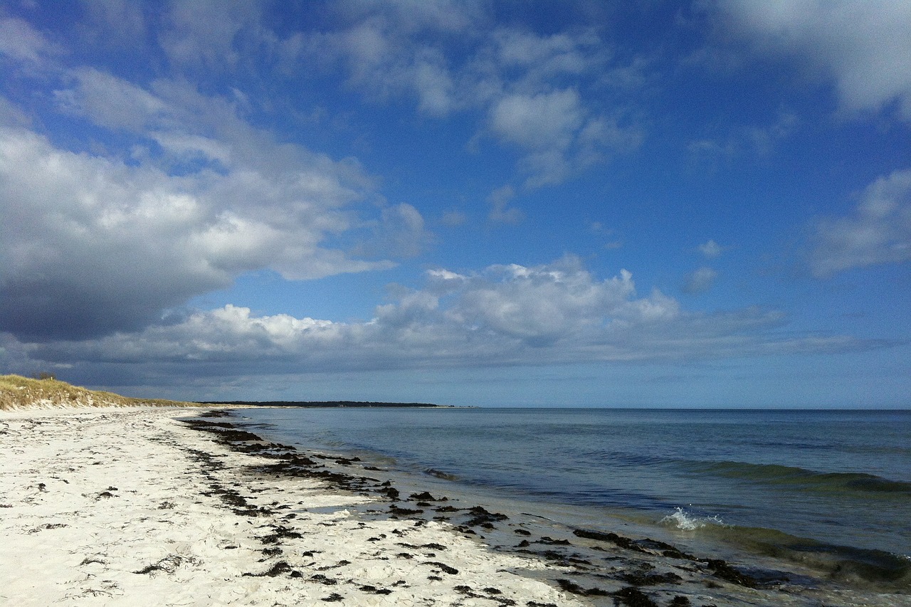 beach spring falsterbo free photo