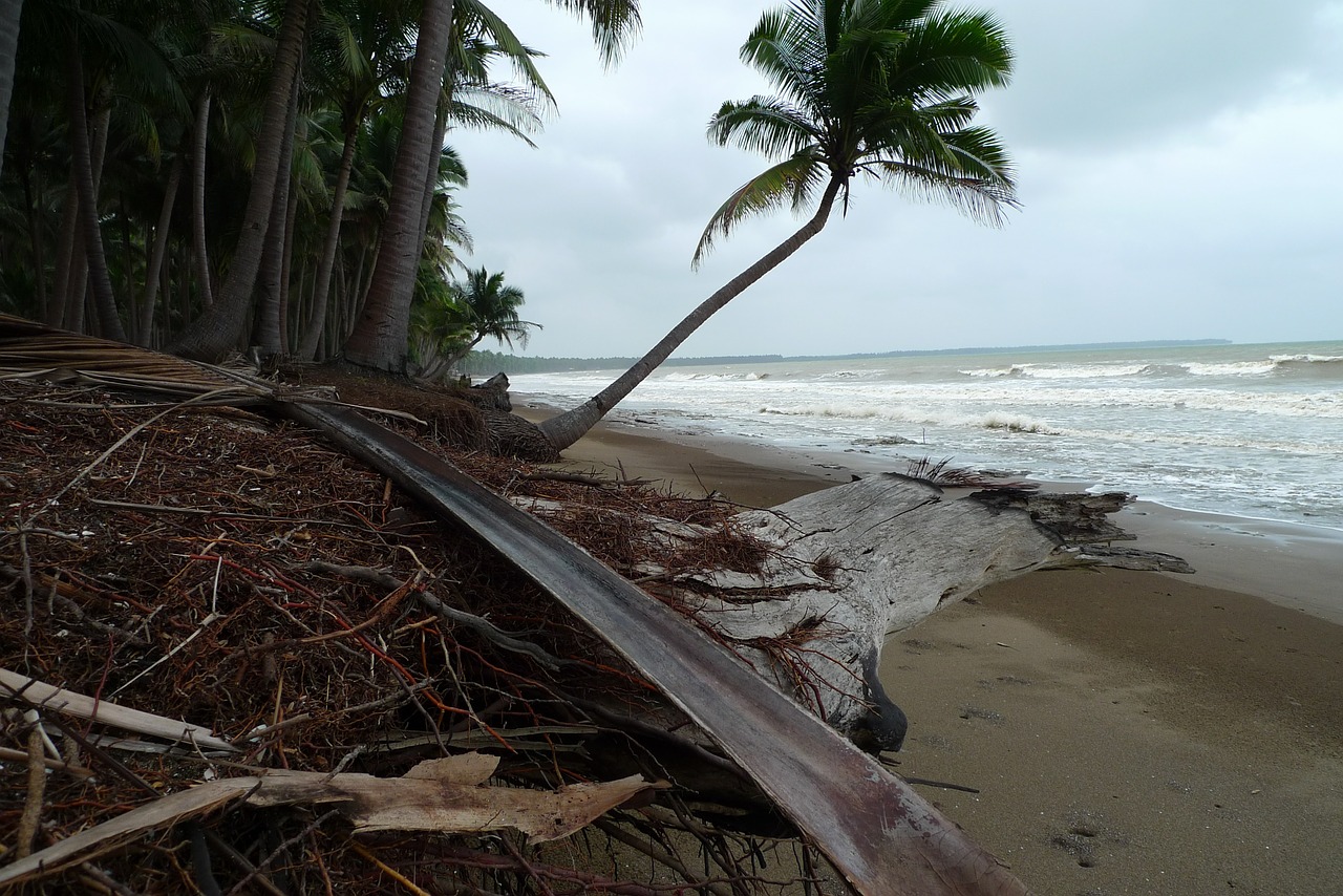 beach tropics erosion free photo