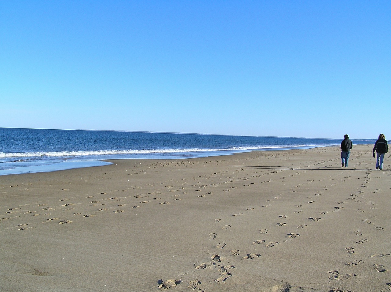 beach walking sun free photo