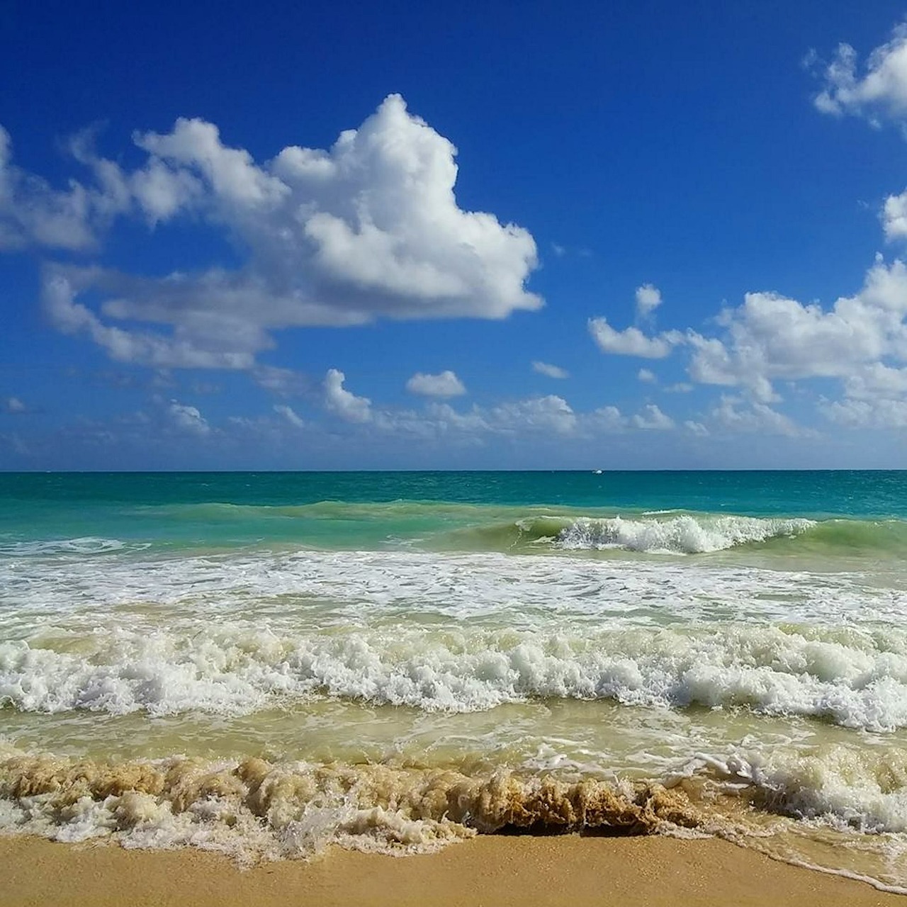 beach hawaii ocean free photo