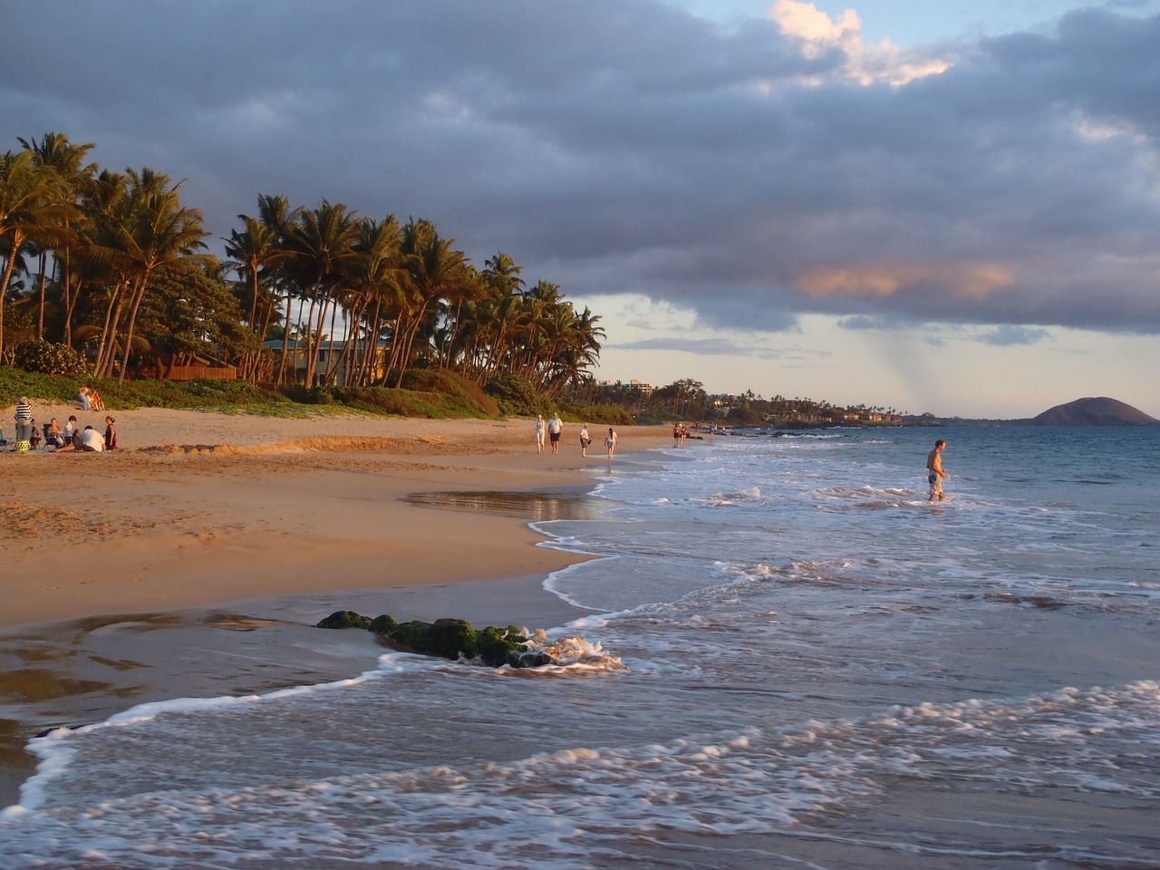 beach maui hawaii free photo