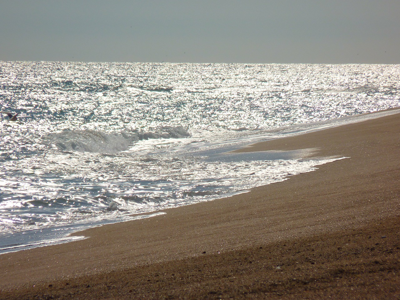 beach sea wave free photo