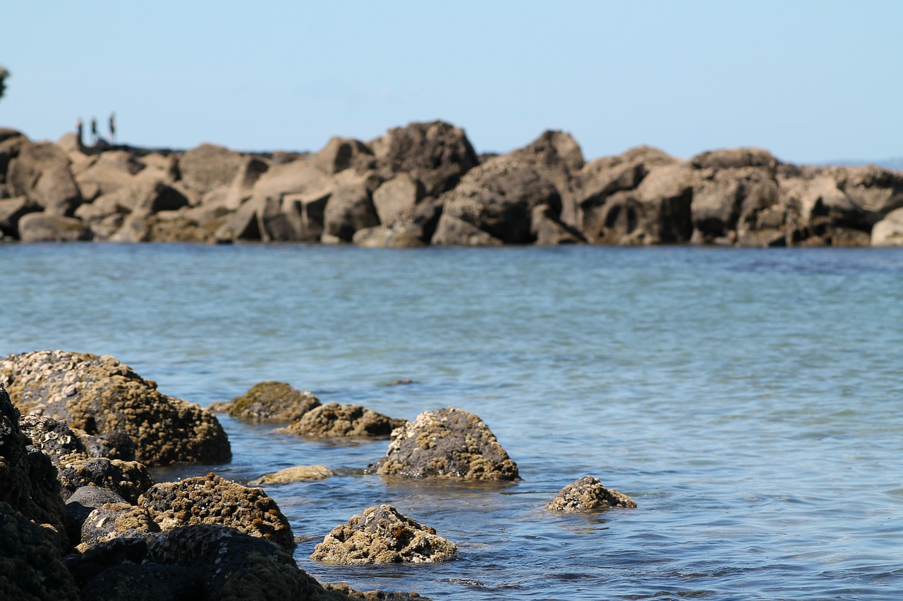 beach stones sea free photo