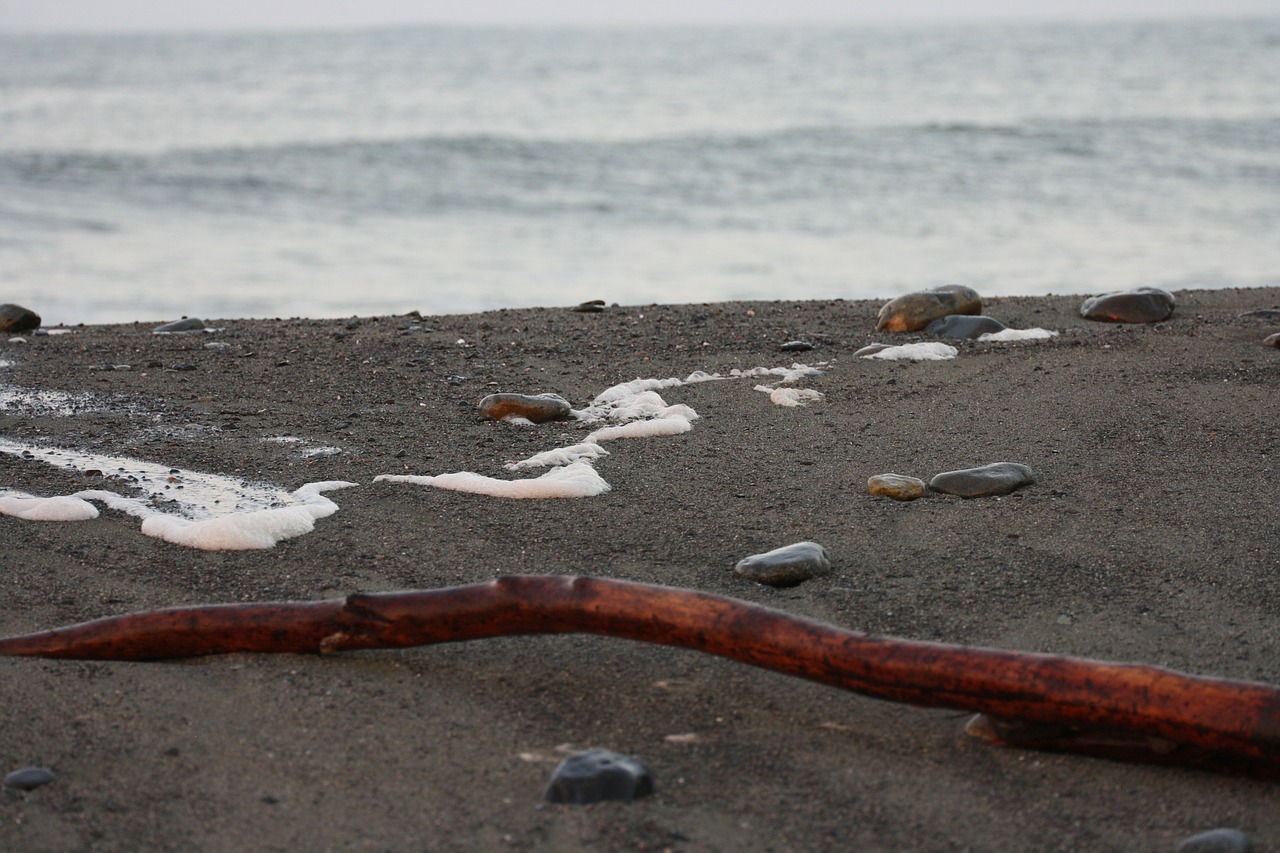 beach wood stones free photo